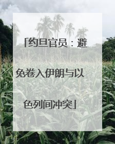 约旦官员：避免卷入伊朗与以色列间冲突