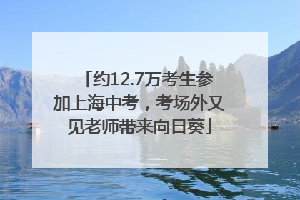 约12.7万考生参加上海中考，考场外又见老师带来向日葵
