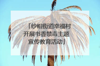纱帽街道幸福村开展书香禁毒主题宣传教育活动