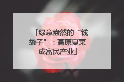 绿意盎然的“钱袋子”：高原夏菜成富民产业