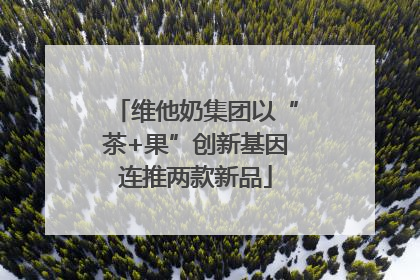 维他奶集团以“茶+果”创新基因连推两款新品