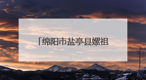 绵阳市盐亭县嫘祖幼儿园接待乐山市沙湾区政协观摩团