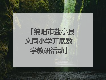 绵阳市盐亭县文同小学开展数学教研活动