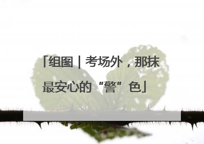 组图｜考场外，那抹最安心的“警”色
