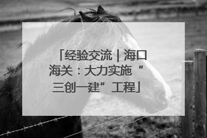 经验交流｜海口海关：大力实施“三创一建”工程