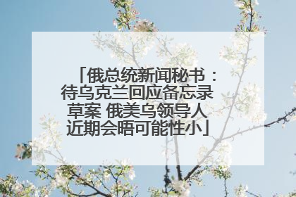 俄总统新闻秘书：待乌克兰回应备忘录草案 俄美乌领导人近期会晤可能性小