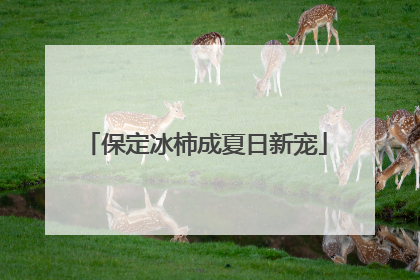 保定冰柿成夏日新宠