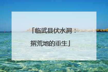 临武县伏水洞：撂荒地的重生