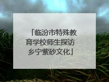 临汾市特殊教育学校师生探访乡宁紫砂文化