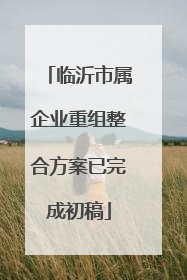 临沂市属企业重组整合方案已完成初稿