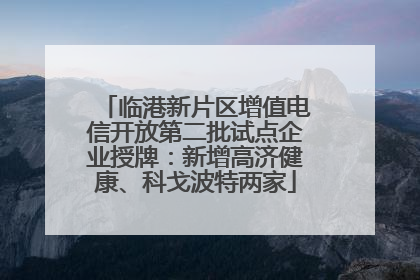 临港新片区增值电信开放第二批试点企业授牌：新增高济健康、科戈波特两家