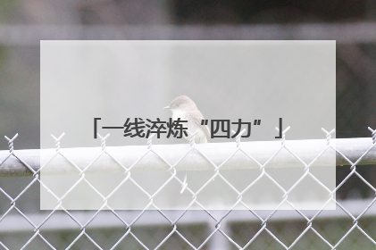 一线淬炼“四力”