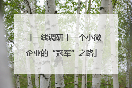 一线调研丨一个小微企业的“冠军”之路