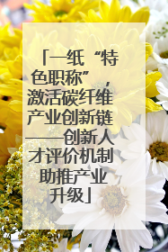 一纸“特色职称”，激活碳纤维产业创新链——创新人才评价机制 助推产业升级