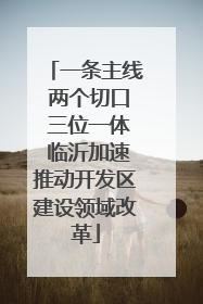 一条主线 两个切口 三位一体 临沂加速推动开发区建设领域改革