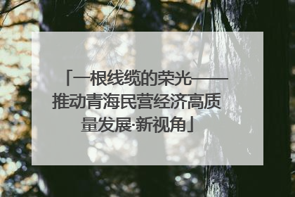 一根线缆的荣光——推动青海民营经济高质量发展·新视角