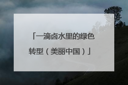 一滴卤水里的绿色转型（美丽中国）