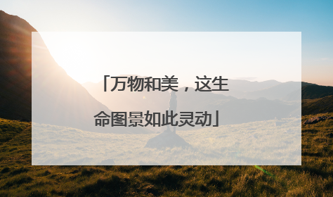 万物和美，这生命图景如此灵动