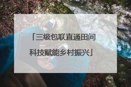 三级包联直通田间 科技赋能乡村振兴