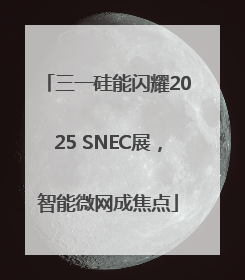 三一硅能闪耀2025 SNEC展，智能微网成焦点