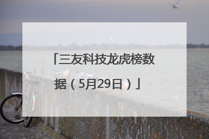 三友科技龙虎榜数据（5月29日）