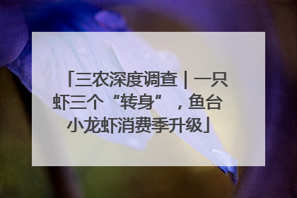 三农深度调查｜一只虾三个“转身”，鱼台小龙虾消费季升级