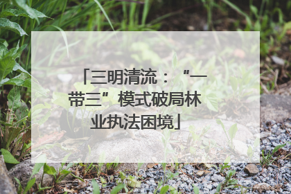 三明清流：“一带三”模式破局林业执法困境