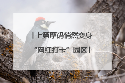 上第摩码悄然变身“网红打卡”园区