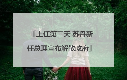 上任第二天 苏丹新任总理宣布解散政府
