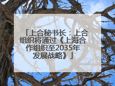 上合秘书长：上合组织将通过《上海合作组织至2035年发展战略》