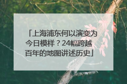 上海浦东何以演变为今日模样？24幅跨越百年的地图讲述历史