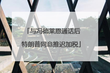与冯德莱恩通话后 特朗普同意推迟加税