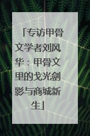 专访甲骨文学者刘风华：甲骨文里的戈光剑影与商城新生