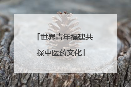 世界青年福建共探中医药文化