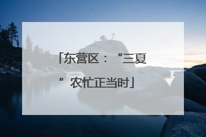 东营区：“三夏”农忙正当时