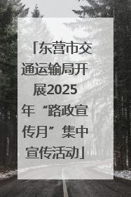 东营市交通运输局开展2025年“路政宣传月”集中宣传活动