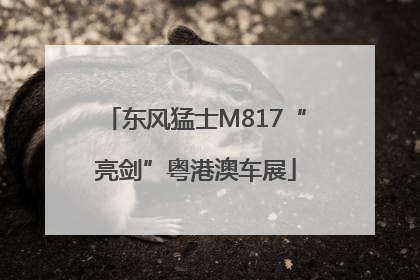 东风猛士M817“亮剑”粤港澳车展
