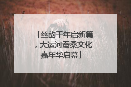 丝韵千年启新篇，大运河蚕桑文化嘉年华启幕