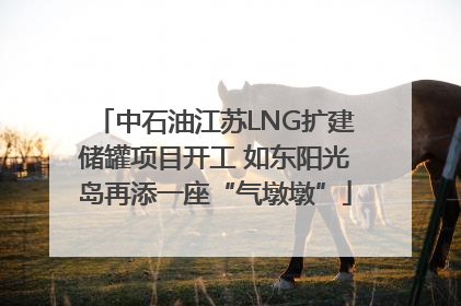 中石油江苏LNG扩建储罐项目开工 如东阳光岛再添一座“气墩墩”