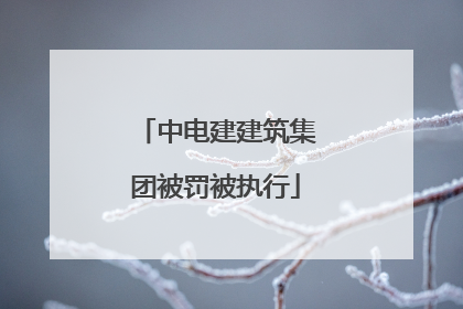 中电建建筑集团被罚被执行
