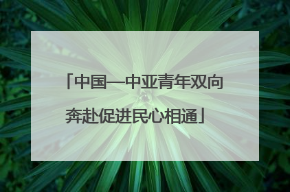 中国—中亚青年双向奔赴促进民心相通