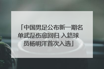 中国男足公布新一期名单武磊伤愈回归 入籍球员杨明洋首次入选