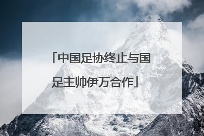中国足协终止与国足主帅伊万合作