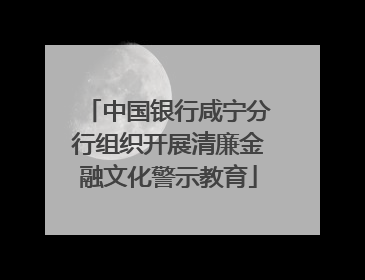 中国银行咸宁分行组织开展清廉金融文化警示教育