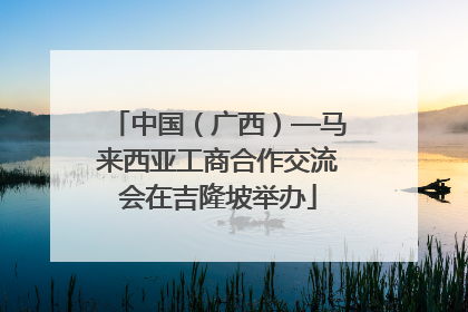 中国（广西）—马来西亚工商合作交流会在吉隆坡举办