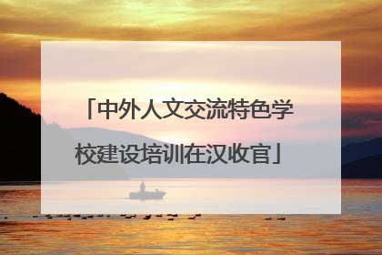 中外人文交流特色学校建设培训在汉收官