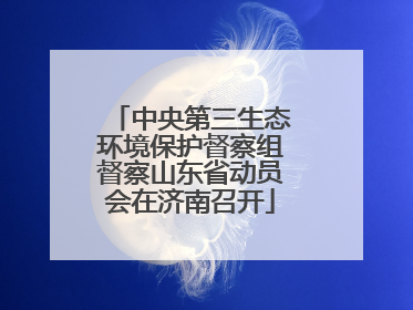 中央第三生态环境保护督察组督察山东省动员会在济南召开