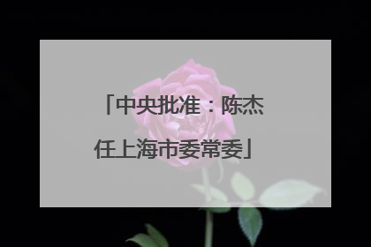 中央批准：陈杰任上海市委常委