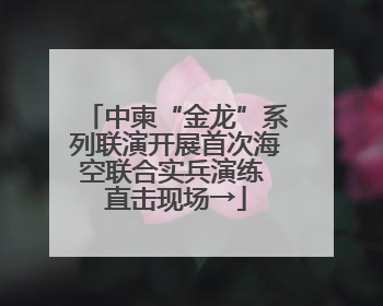 中柬“金龙”系列联演开展首次海空联合实兵演练 直击现场→