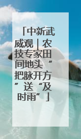 中新武威观｜农技专家田间地头“把脉开方”送“及时雨”